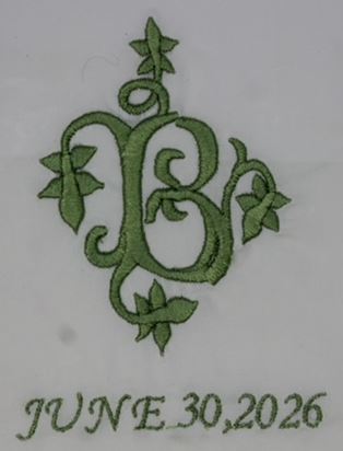 Nimbus Wedding Dress Insert